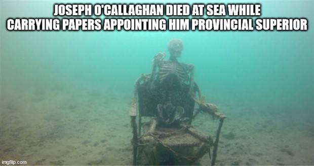 It’s Time for Some Cool and Interesting Facts #341 (32 photos)