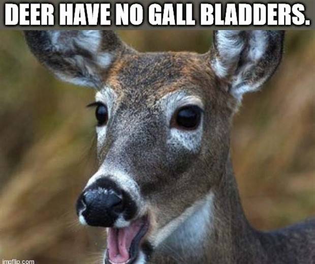 It’s Time for Some Cool and Interesting Facts #341 (32 photos)