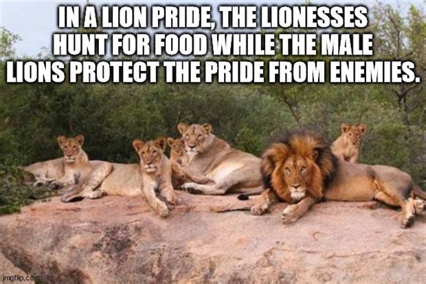 It’s Time for Some Cool and Interesting Facts #341 (32 photos)