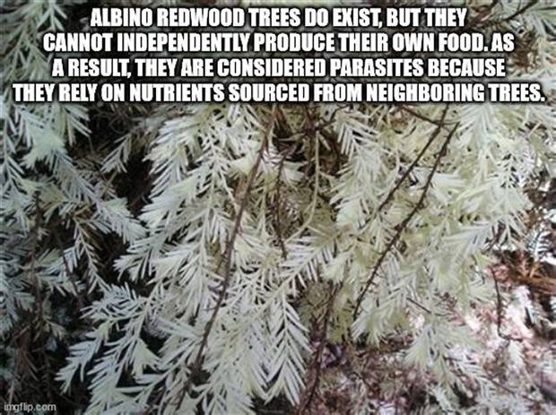 It’s Time for Some Cool and Interesting Facts #342 (44 photos)