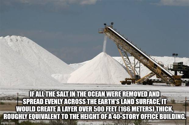 It’s Time for Some Cool and Interesting Facts #344 (43 photos)