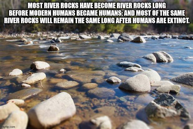 silly shower thoughts 13 Funny Shower Thoughts #66 (43 photos)