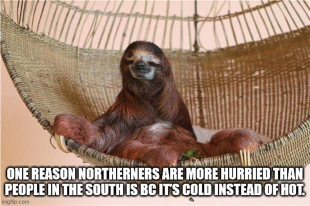 silly shower thoughts 27 Funny Shower Thoughts #66 (43 photos)