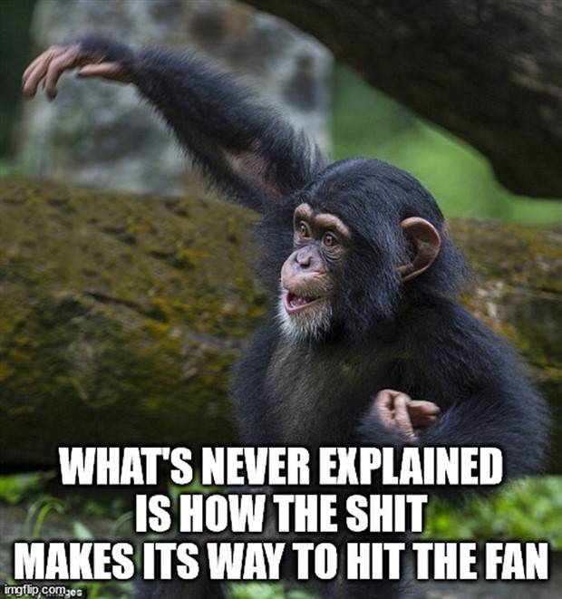 silly shower thoughts 32 Funny Shower Thoughts #66 (43 photos)