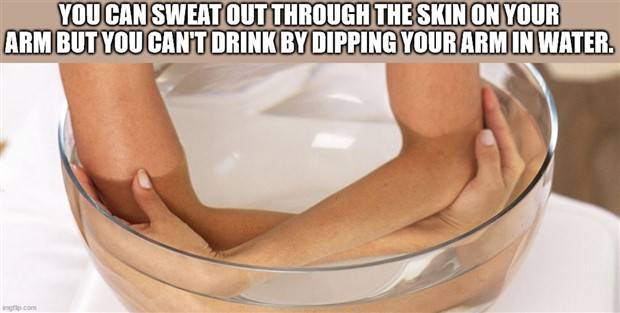 Funny Shower Thoughts #66 (43 photos)