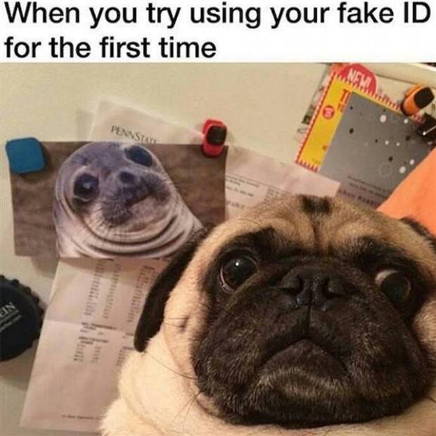 Funny Pics and Memes to Make You Laugh #72 (39 photos)