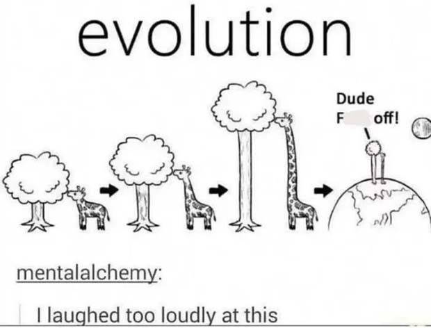 Funny Pics and Memes to Make You Laugh #72 (39 photos)