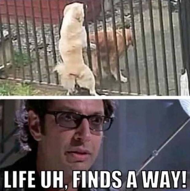 Funny Pics and Memes to Make You Laugh #72 (39 photos)