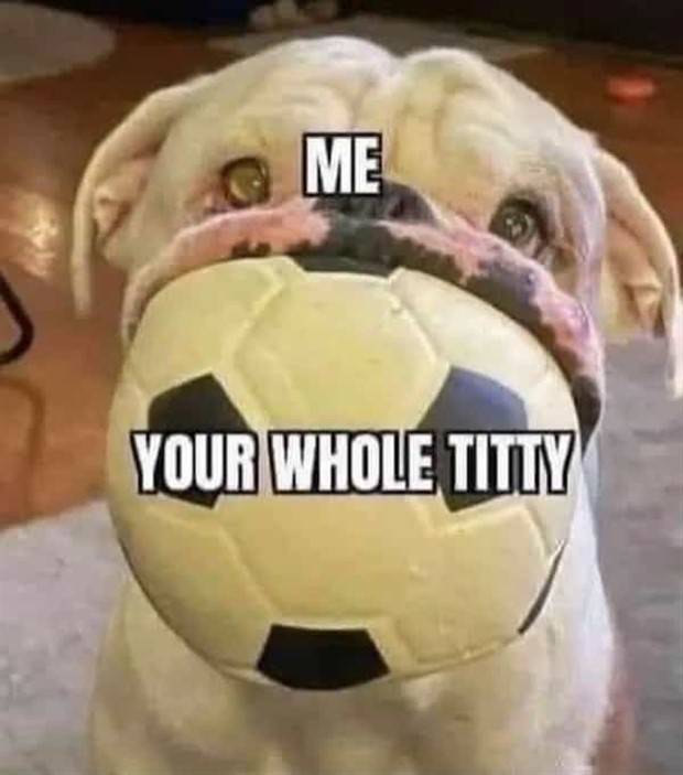 Funny Pics and Memes to Make You Laugh #72 (39 photos)