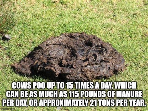 It’s Time for Some Cool and Interesting Facts #348 (33 photos)
