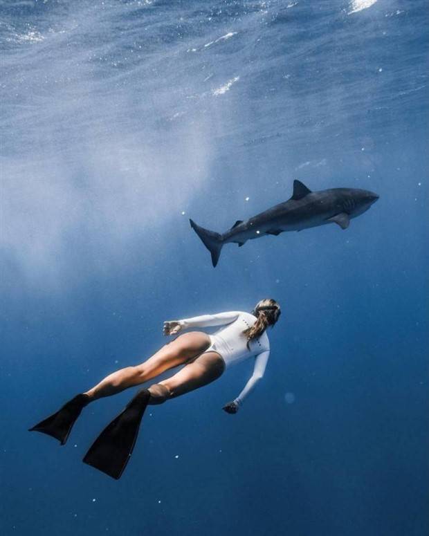 A Little Fun for Adults #322 (42 photos)