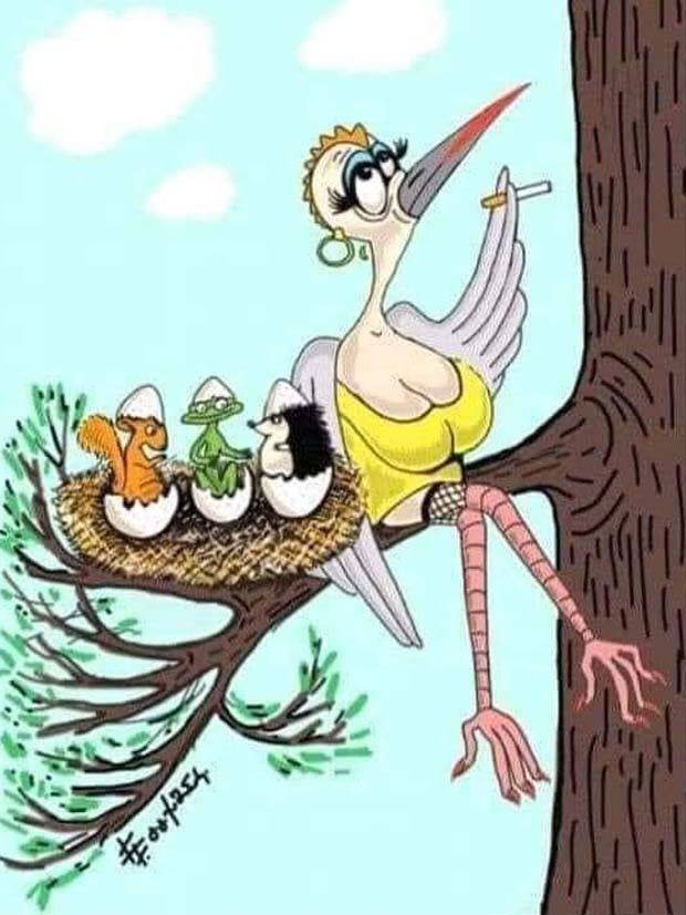 funny comics 22 Funny Comics to Cheer You Up #2 (25 photos)