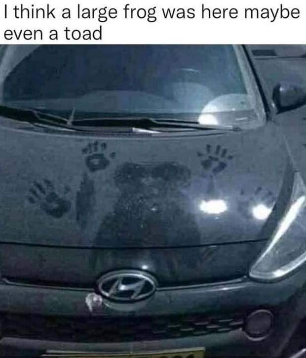 Funny Pics and Memes to Make You Laugh #71 (36 photos)