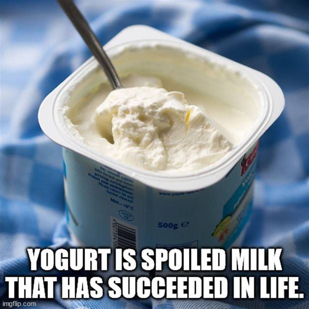 Funny Shower Thoughts #70 (35 photos)