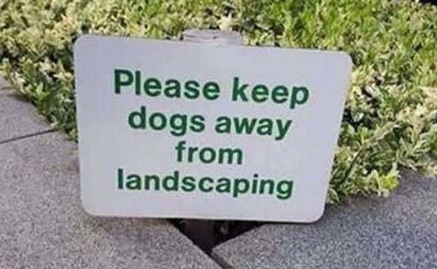 Funny Signs that Will Leave You Perplexed #12 (30 photos)