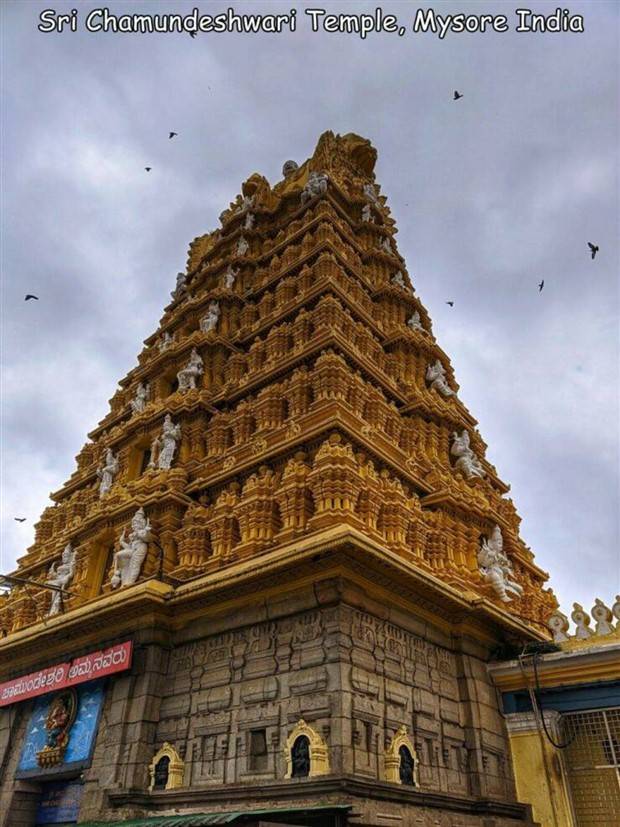 Interesting Pictures with Captions #72 (39 photos)