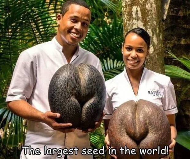 Interesting Pictures with Captions #72 (39 photos)