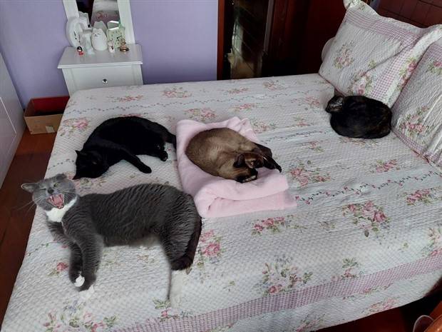 Klyker Picdump #1307 (52 photos)