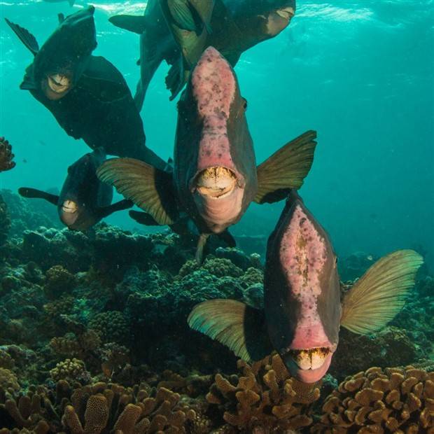 Klyker Picdump #1307 (52 photos)