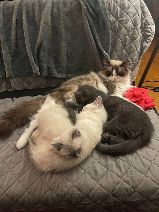 Klyker Picdump #1307 (52 photos)