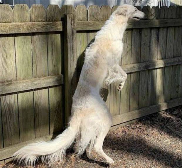 Klyker Picdump #1307 (52 photos)