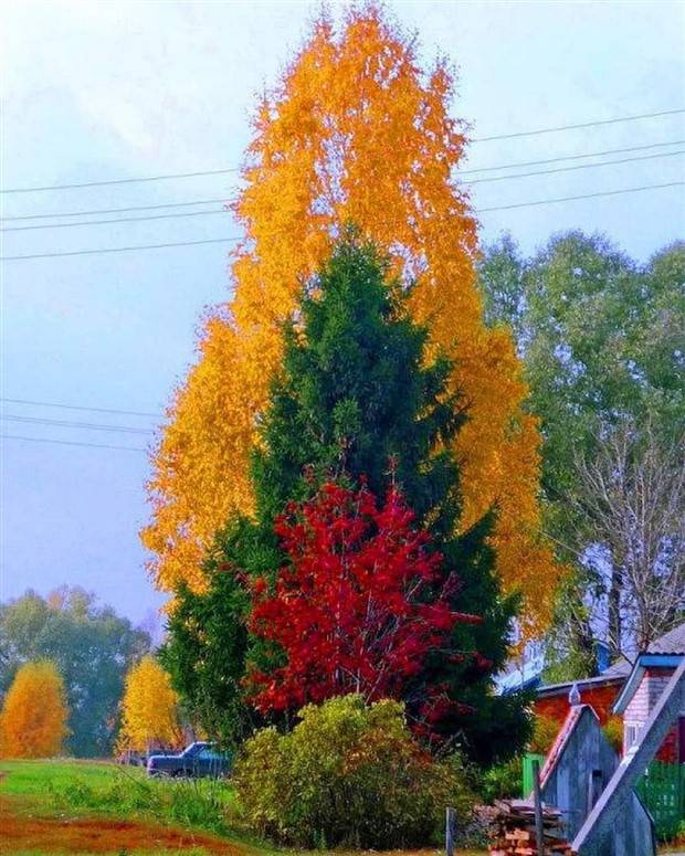 Klyker Picdump #1307 (52 photos)