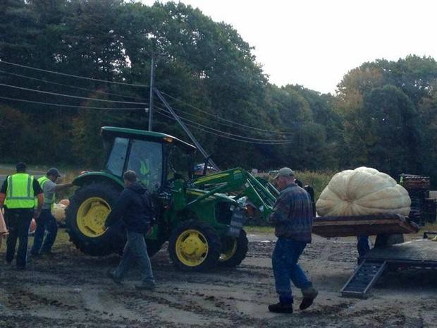 Klyker Picdump #1307 (52 photos)