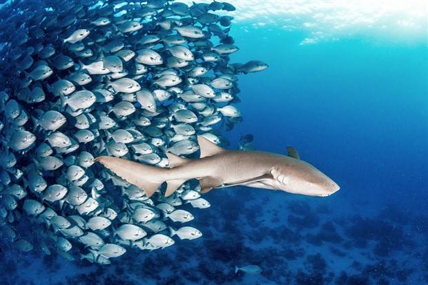 Klyker Picdump #1307 (52 photos)