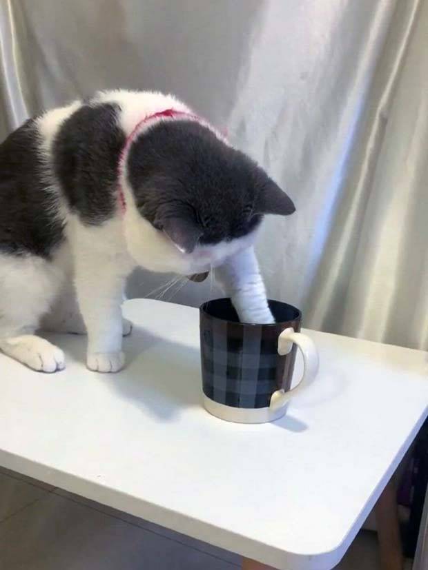 Klyker Picdump #1308 (53 photos)