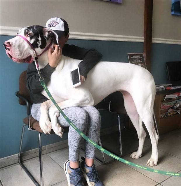 Klyker Picdump #1308 (53 photos)