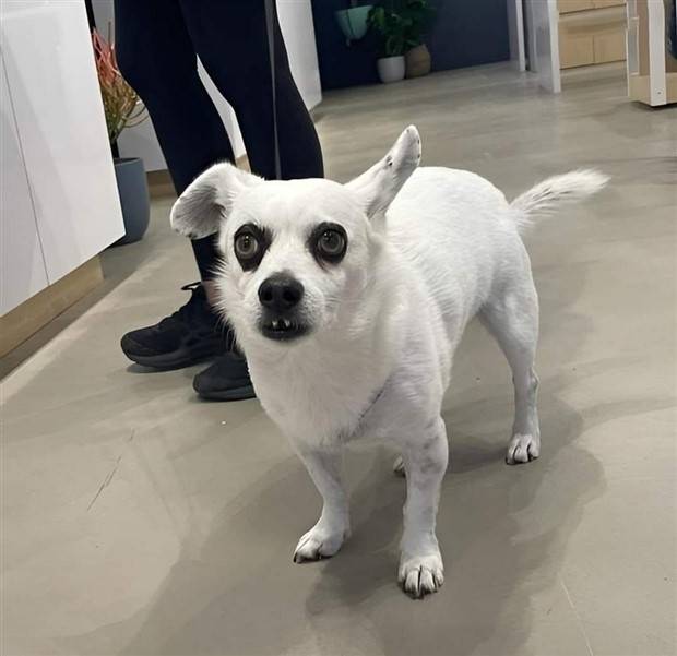 Klyker Picdump #1308 (53 photos)