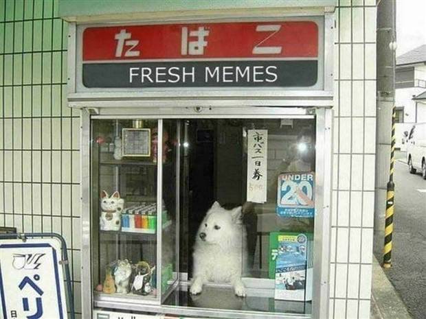 Klyker Picdump #1308 (53 photos)