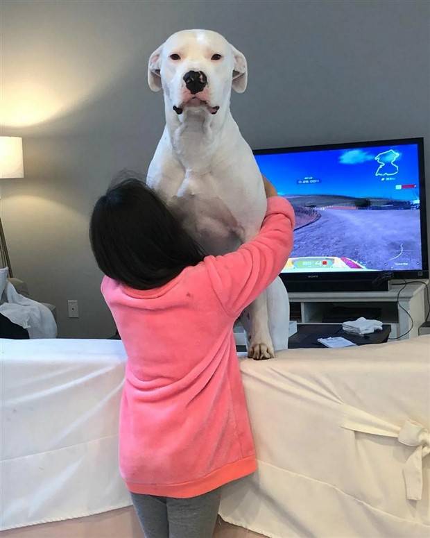 Klyker Picdump #1308 (53 photos)