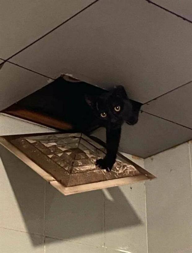 Klyker Picdump #1308 (53 photos)