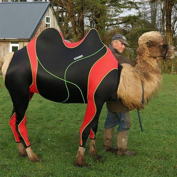 Klyker Picdump #1308 (53 photos)