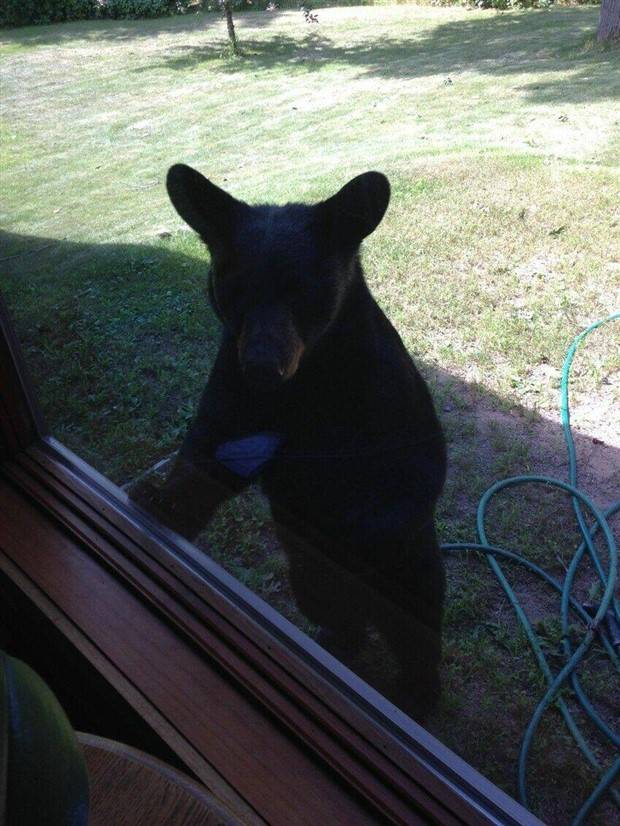 Klyker Picdump #1309 (54 photos)