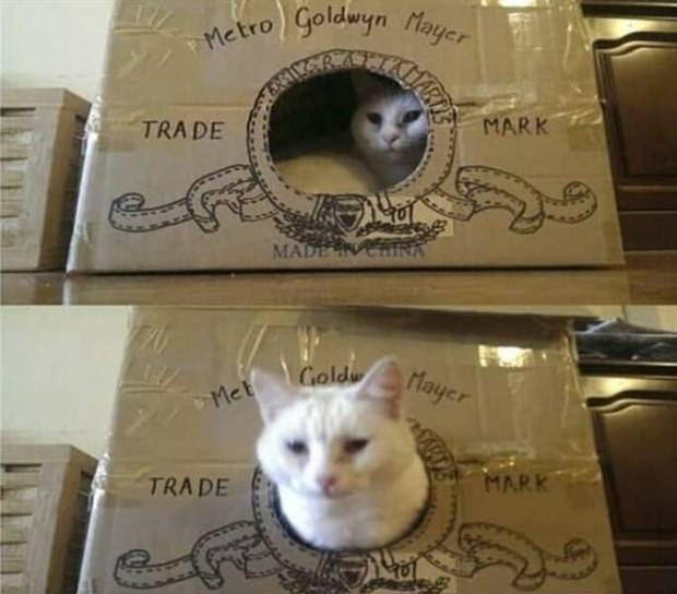 Klyker Picdump #1309 (54 photos)