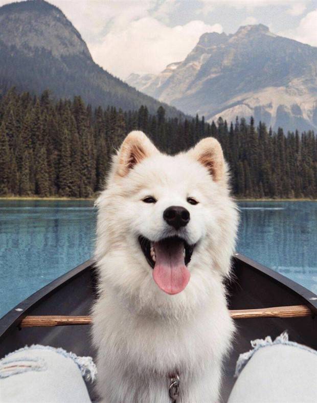 Klyker Picdump #1309 (54 photos)