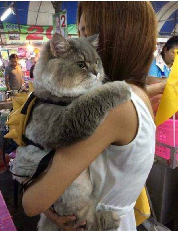 Klyker Picdump #1309 (54 photos)