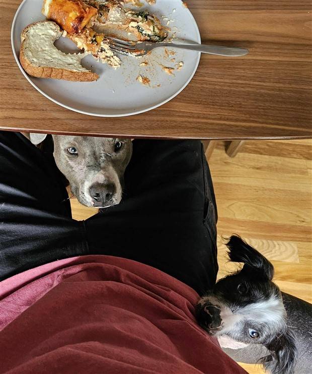 Klyker Picdump #1309 (54 photos)