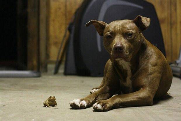 Klyker Picdump #1309 (54 photos)