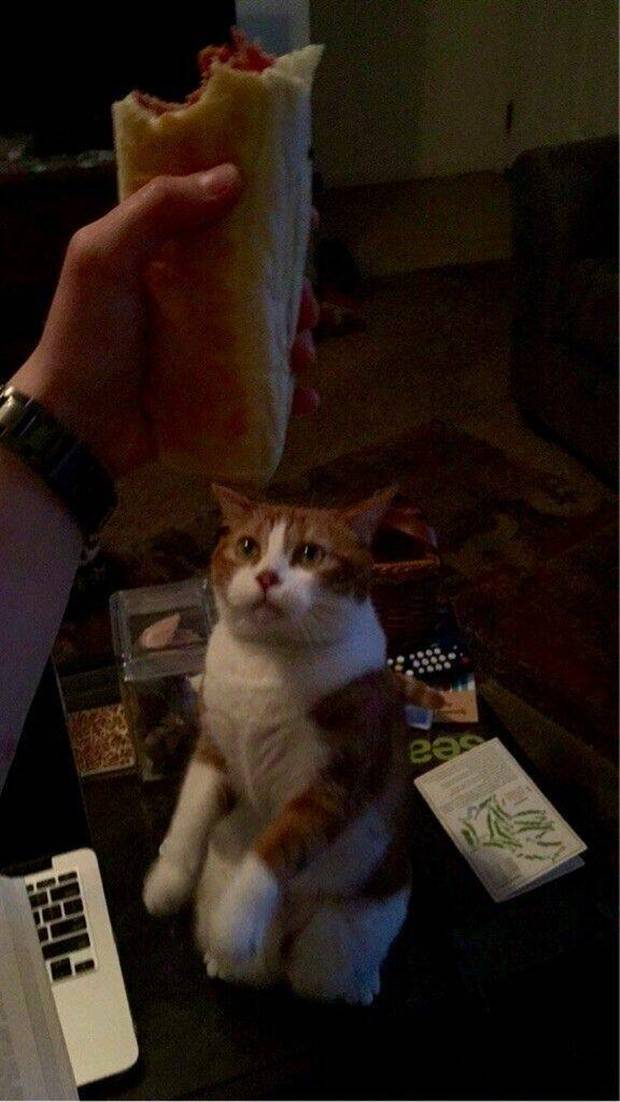 Klyker Picdump #1309 (54 photos)