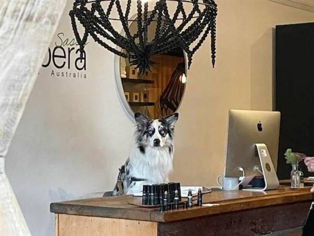 Klyker Picdump #1309 (54 photos)