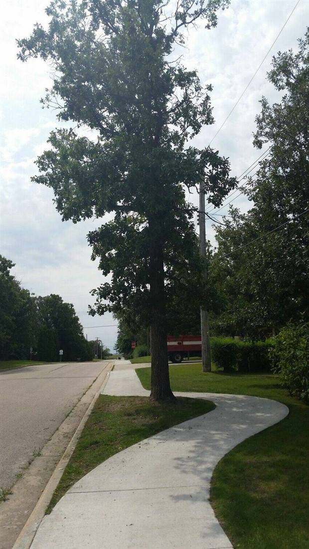 Klyker Picdump #1309 (54 photos)