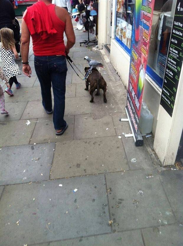 Klyker Picdump #1309 (54 photos)