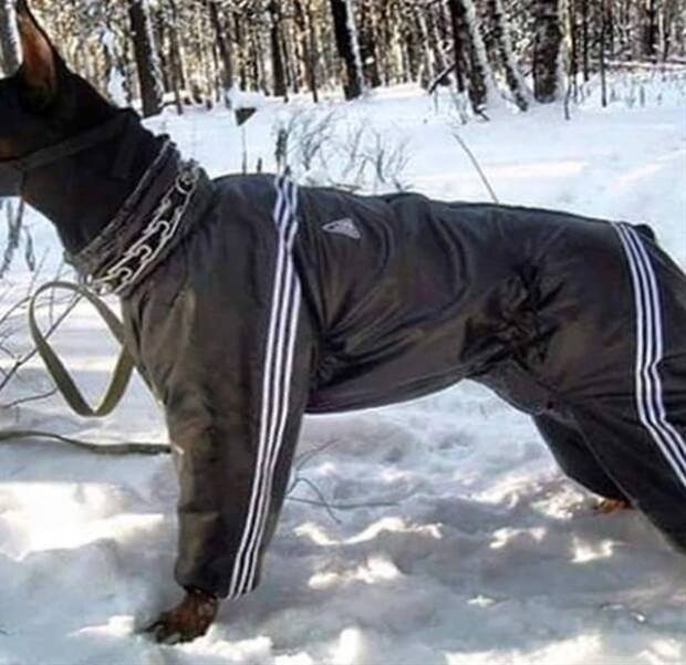 Klyker Picdump #1309 (54 photos)