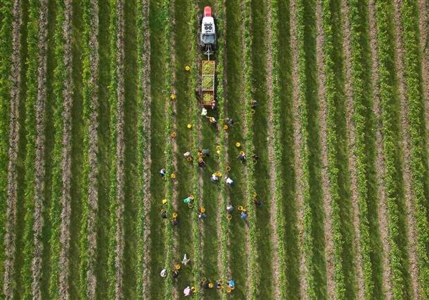 Klyker Picdump #1311 (51 photos)