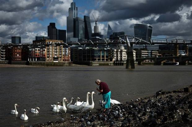 Klyker Picdump #1311 (51 photos)