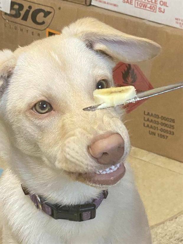 Klyker Picdump #1311 (51 photos)