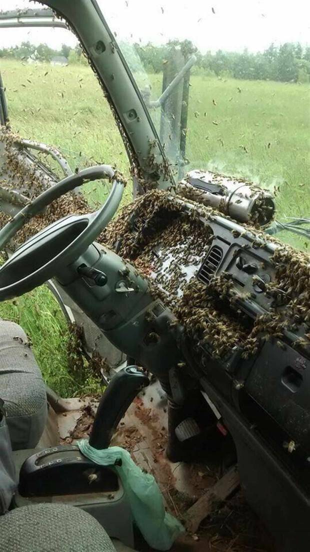 Klyker Picdump #1311 (51 photos)